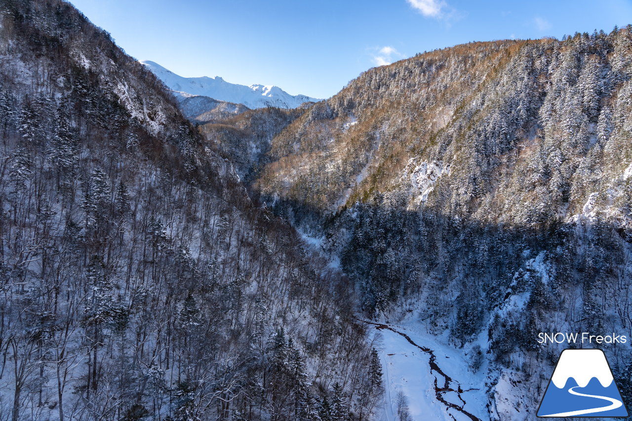 大雪山層雲峡・黒岳ロープウェイスキー場｜雪質も、景色も。やはり黒岳は別格。パウダースノーが舞う、北海道最高所にあるスキー場が営業開始！